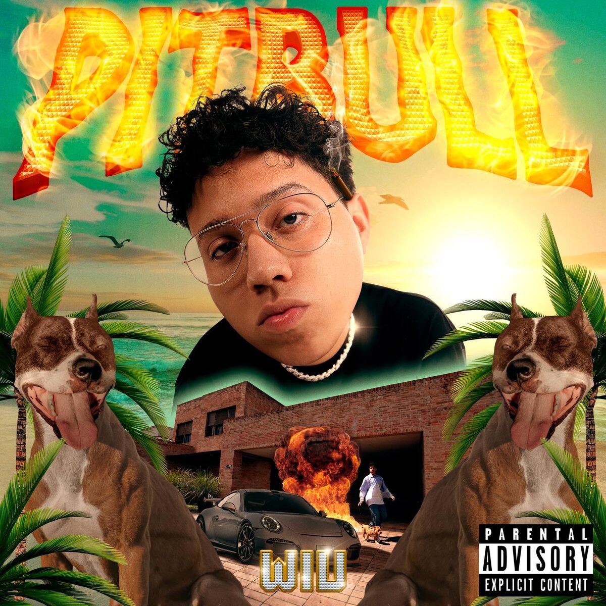 Album cover of Pitbull