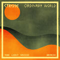 Ordinary World (The Lost Voice Remix)