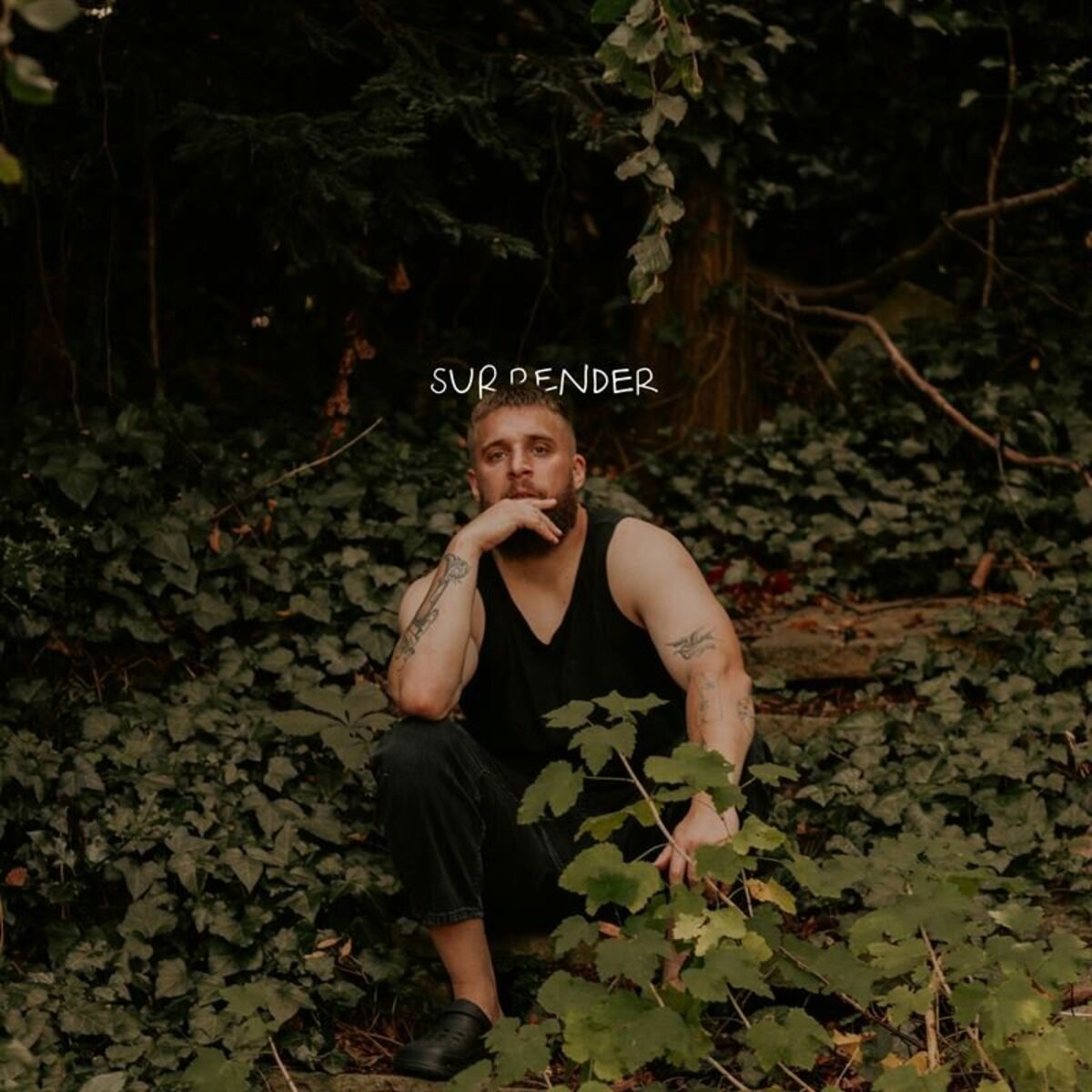 Album cover of Surrender