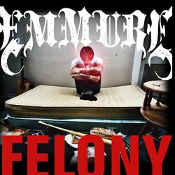Cover of Felony