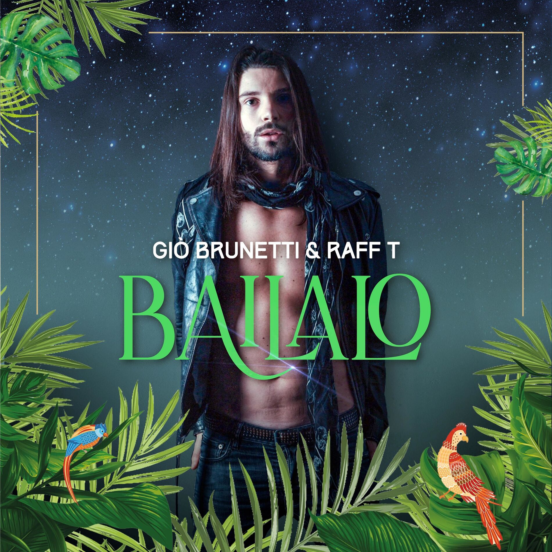 Album cover of Bailalo