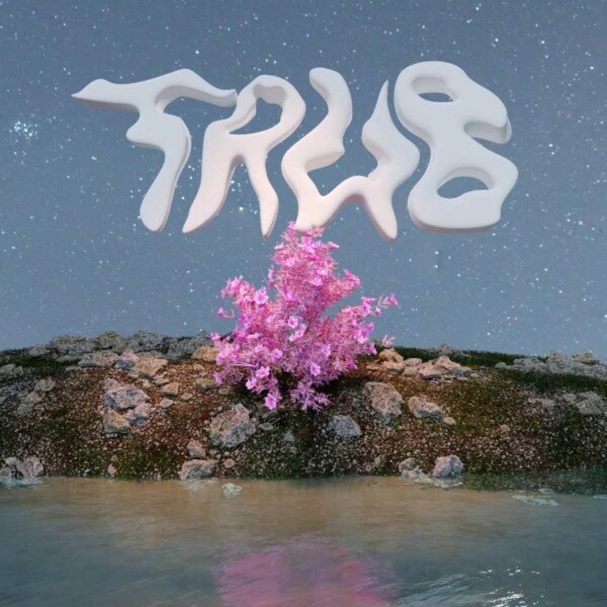 Album cover of Taub