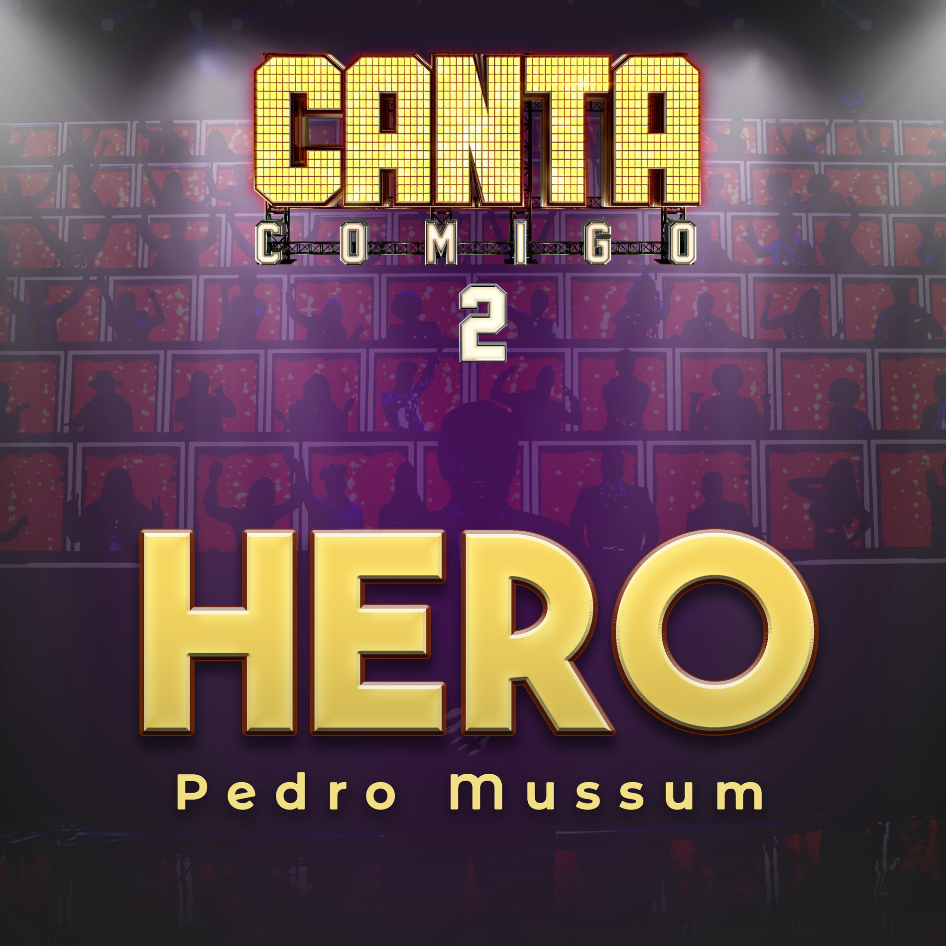 Album cover of Hero