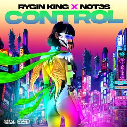 Cover of Control
