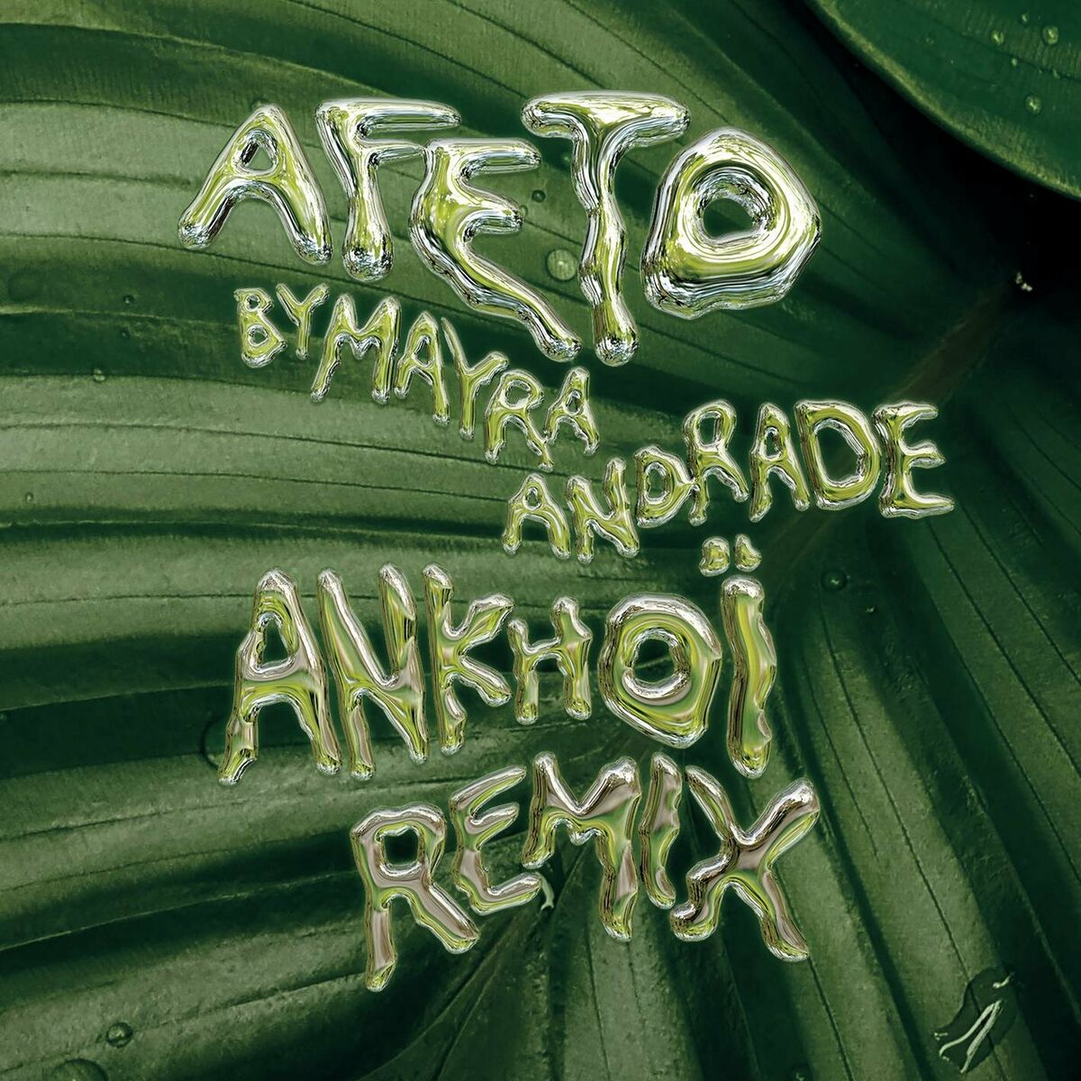 Album cover of Afeto