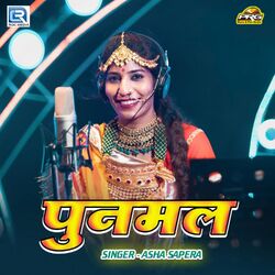 Cover of Punmal