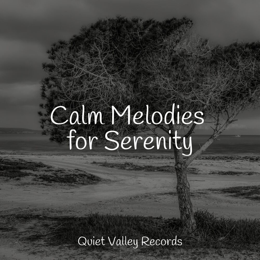 Picture of Calm Melodies for Serenity