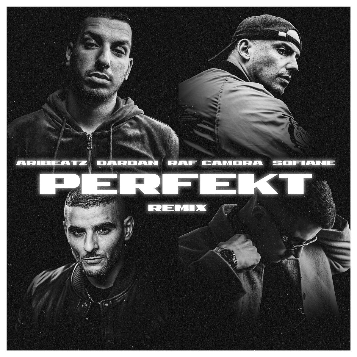 Album cover of Perfekt