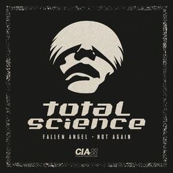 Cover of Fallen Angel / Not Again