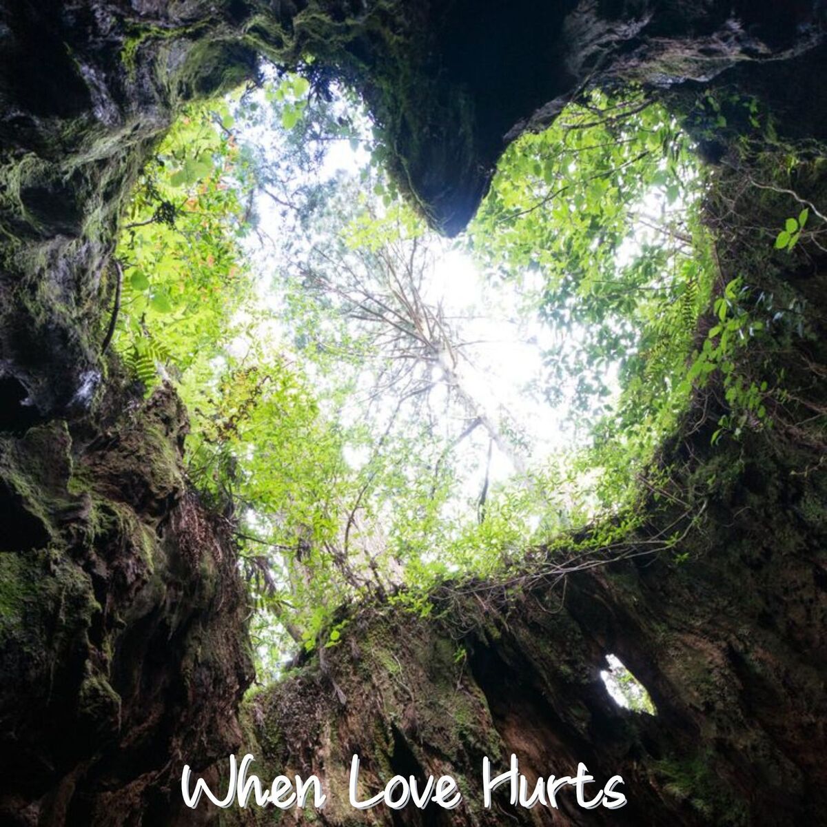 Album cover of When Love Hurts