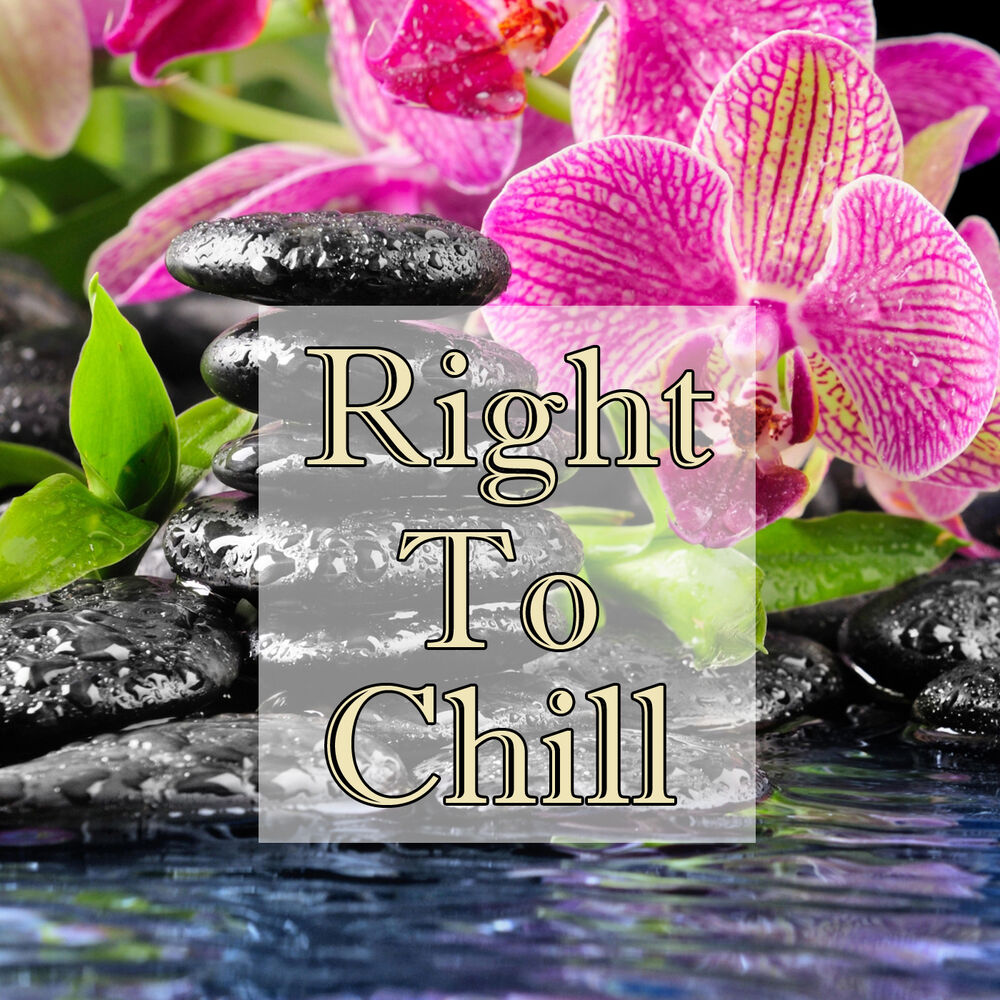 Picture of Right To Chill, Vol.2