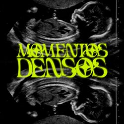 Cover of Momentos Densos