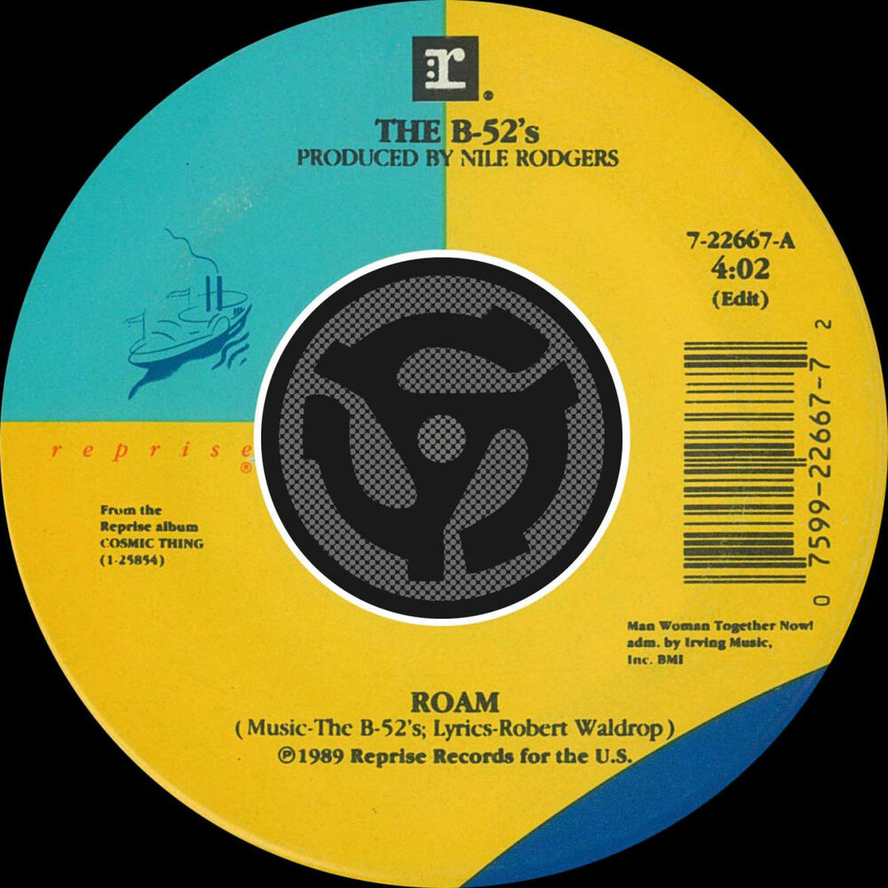 Picture of Roam (Edit) / Bushfire [45 Version]