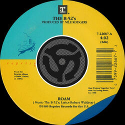 Cover of Roam (Edit) / Bushfire [45 Version]