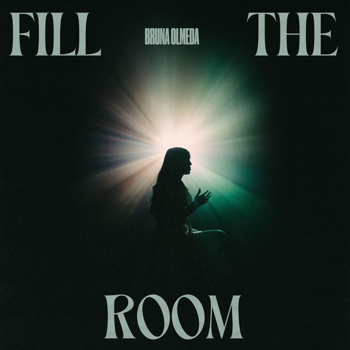 Album cover of Fill The Room