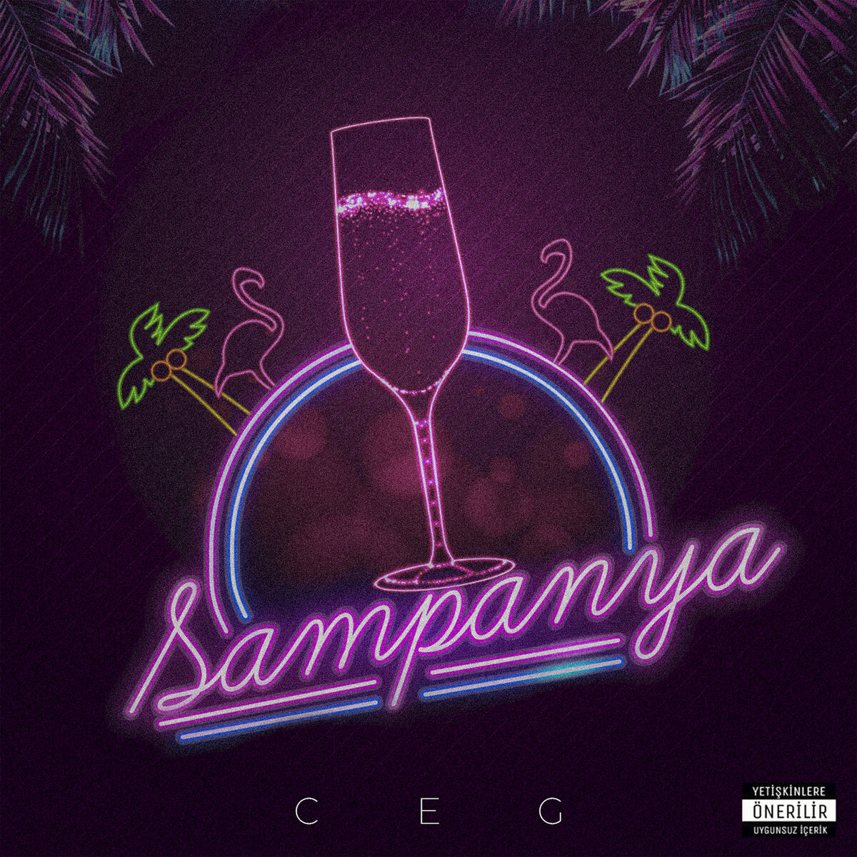 Album cover of Şampanya