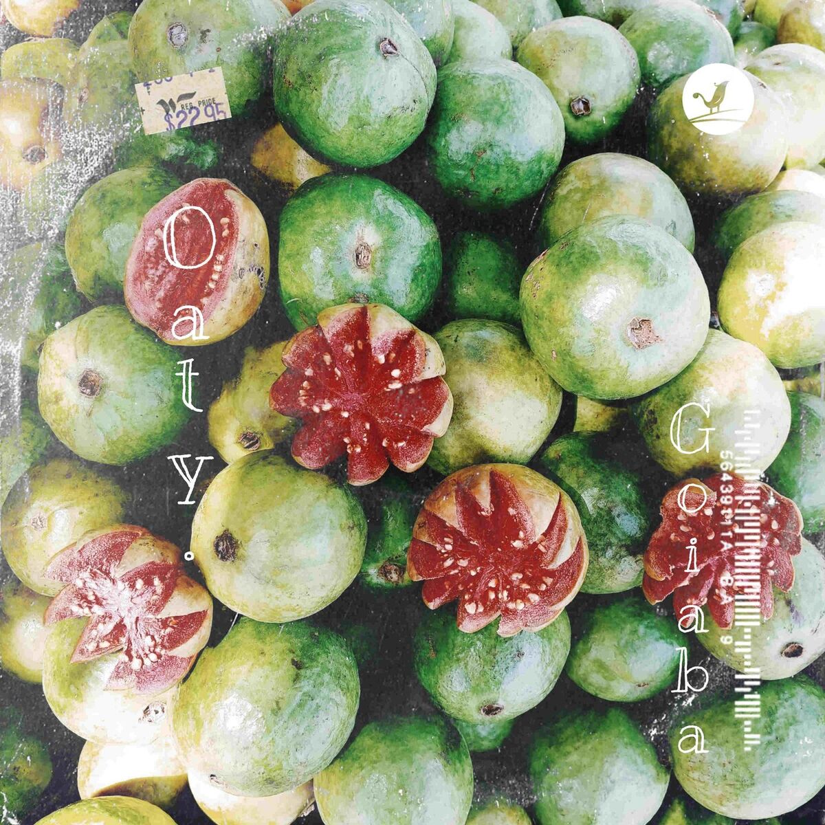 Album cover of Goiaba