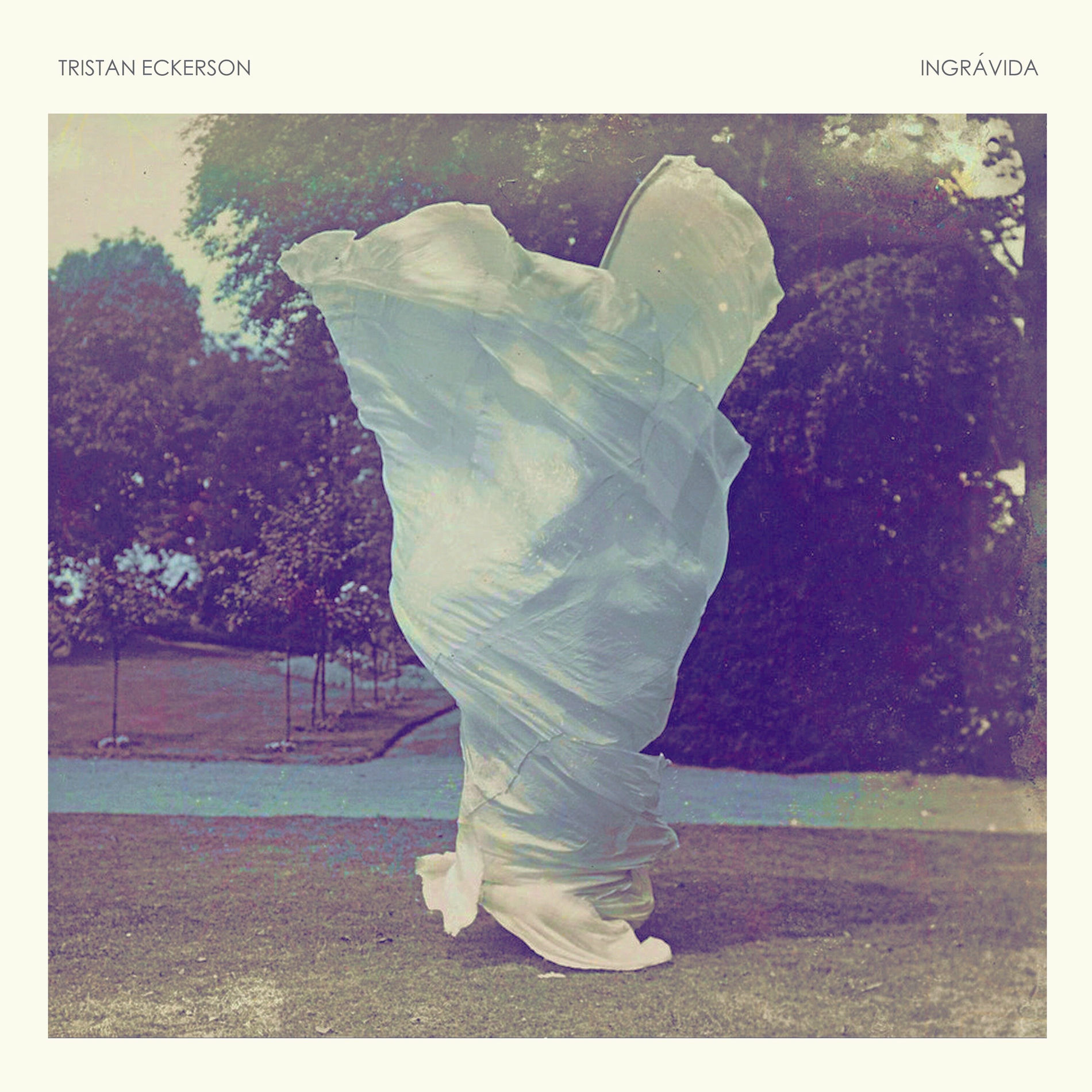 Album cover of Ingrávida