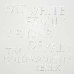 Cover of Visions Of Pain (Tim Goldsworthy Remix)