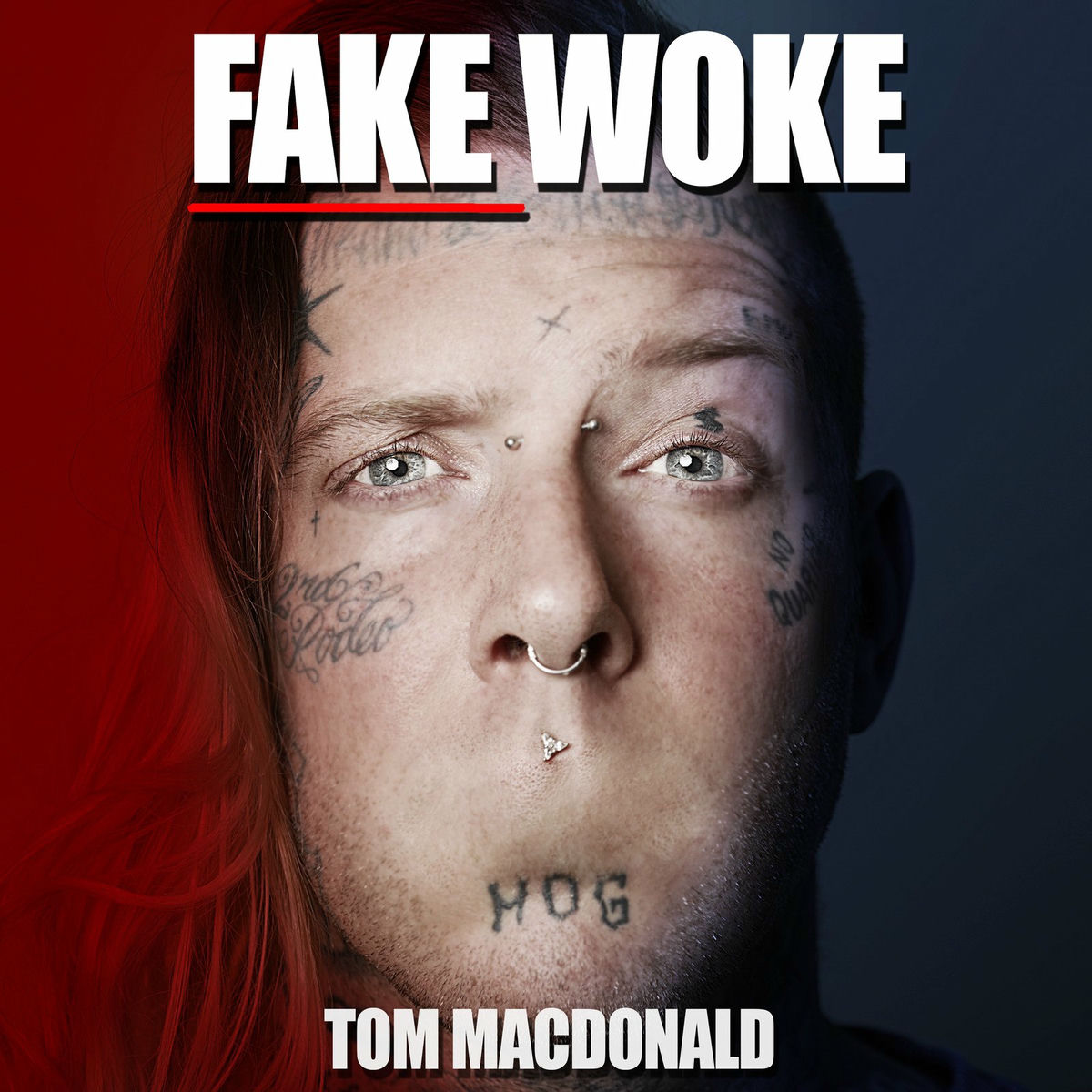 Album picture of Fake Woke