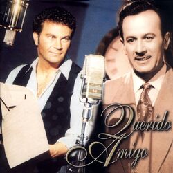 Cover of Querido Amigo