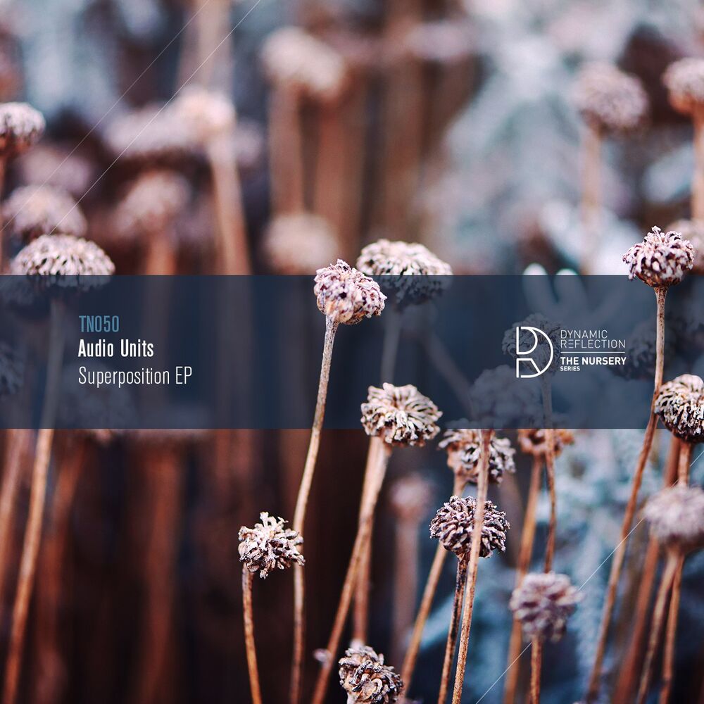 Picture of Superposition EP