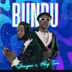 Cover of Bundu (Audio Snippet)