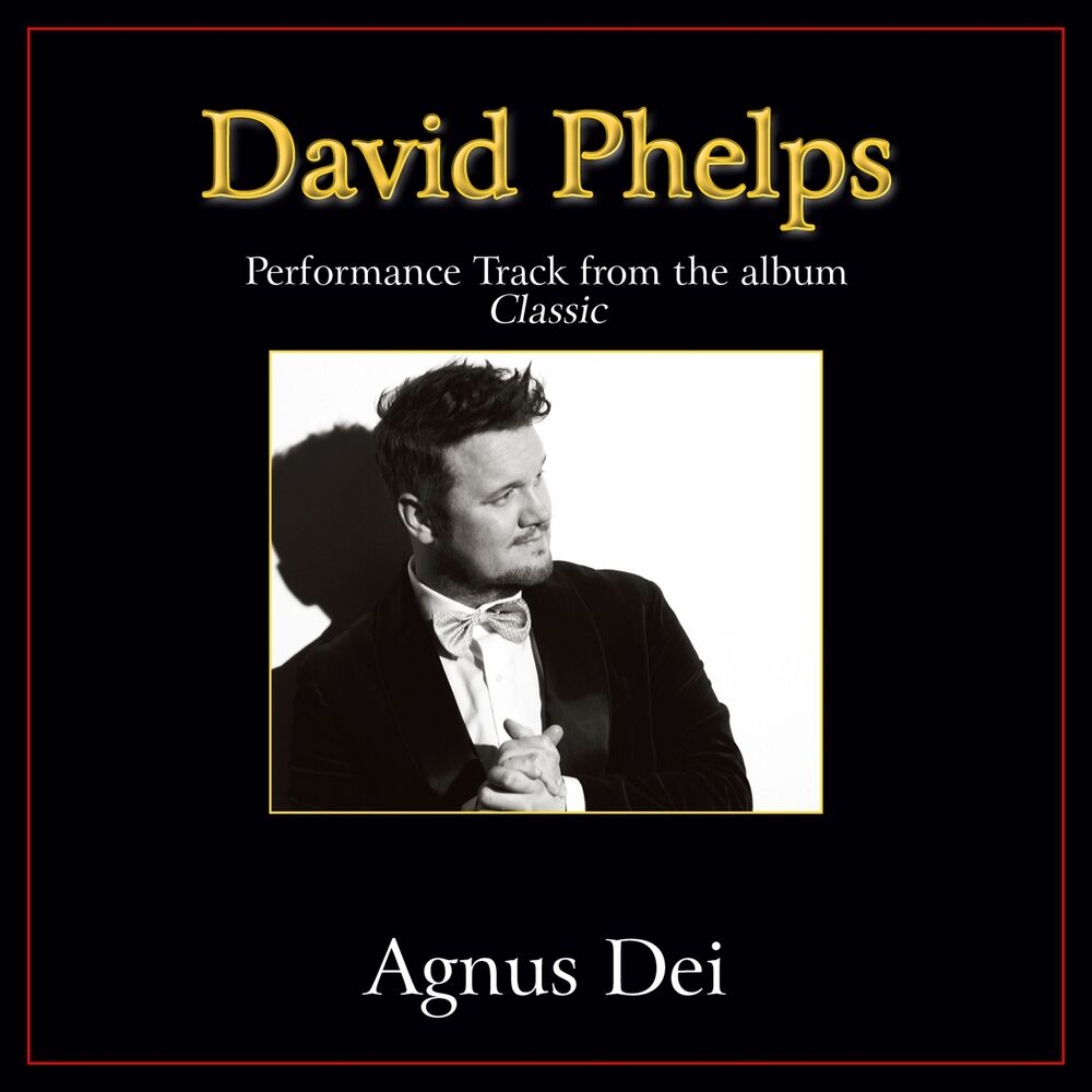 Picture of Agnus Dei (Performance Tracks)