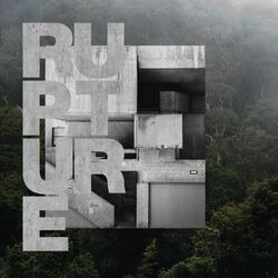 Cover of Rupture