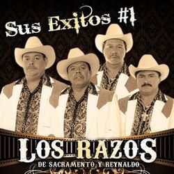 Cover of Sus Exitos #1