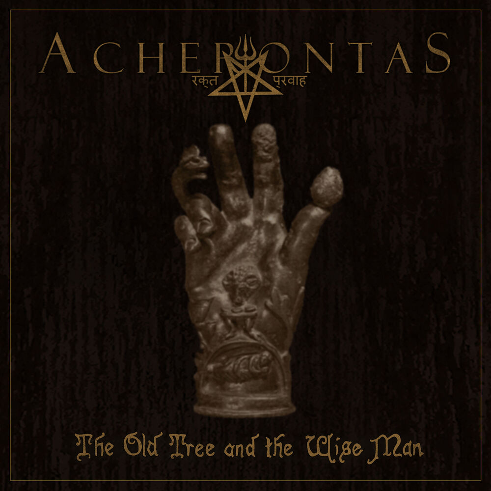 Picture of The Old Tree and the Wise Man
