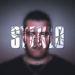 Cover of STEKLO