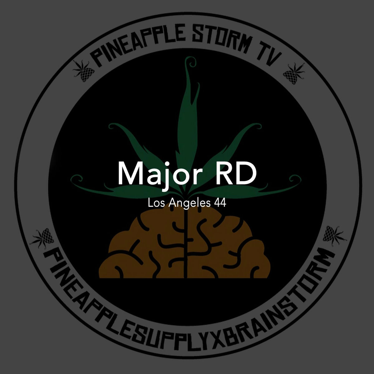 Album cover of Los Angeles 44