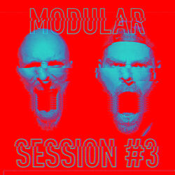 Cover of Modular Session #3