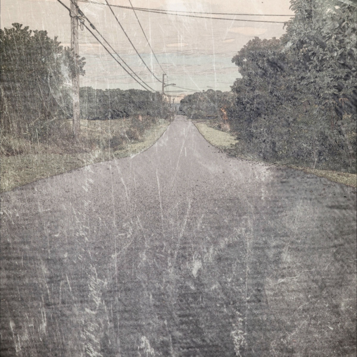 Album cover of Waikahe Road 2