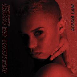 Cover of Breaking Me Down