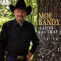 Cover of A Love Like That
