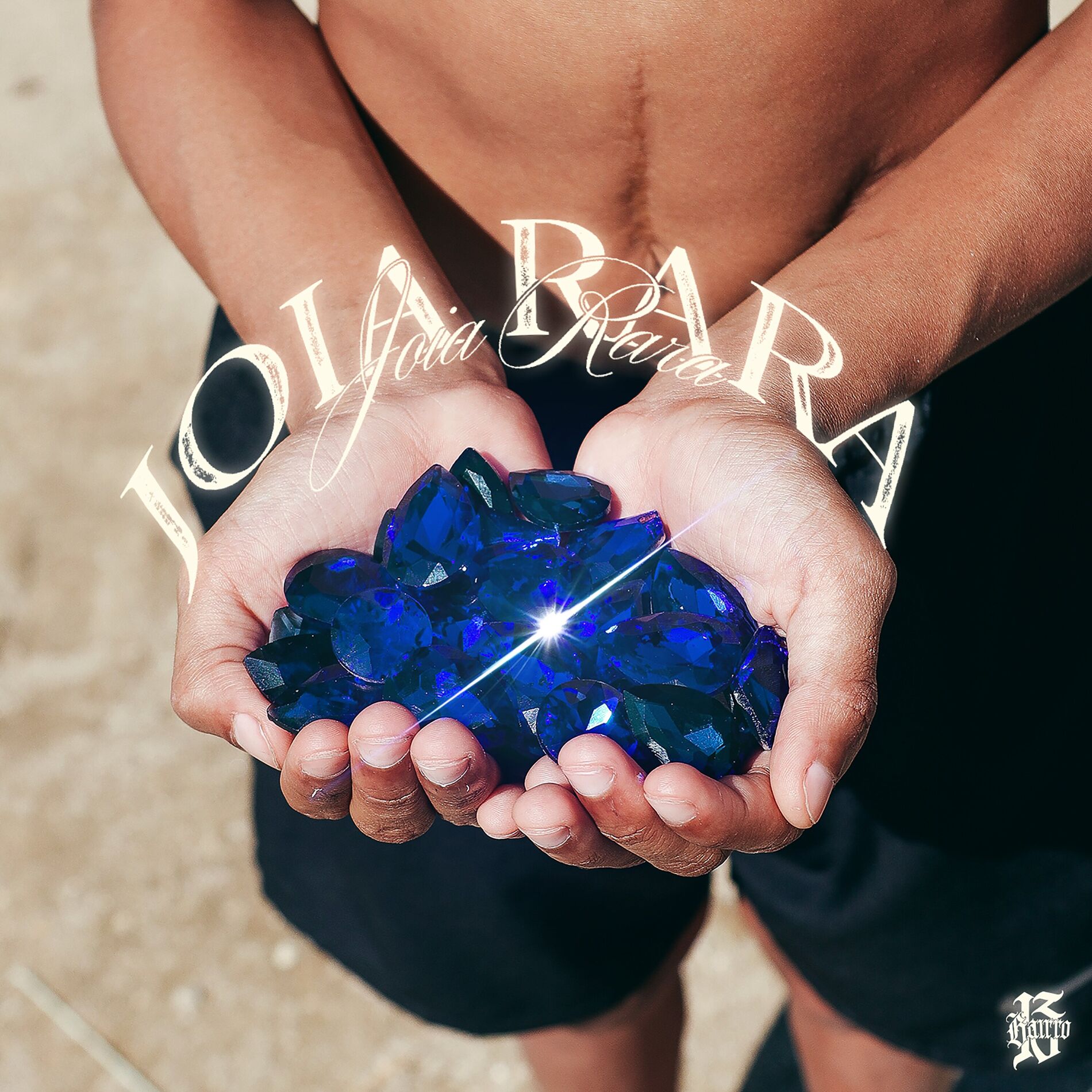 Album cover of Joia Rara