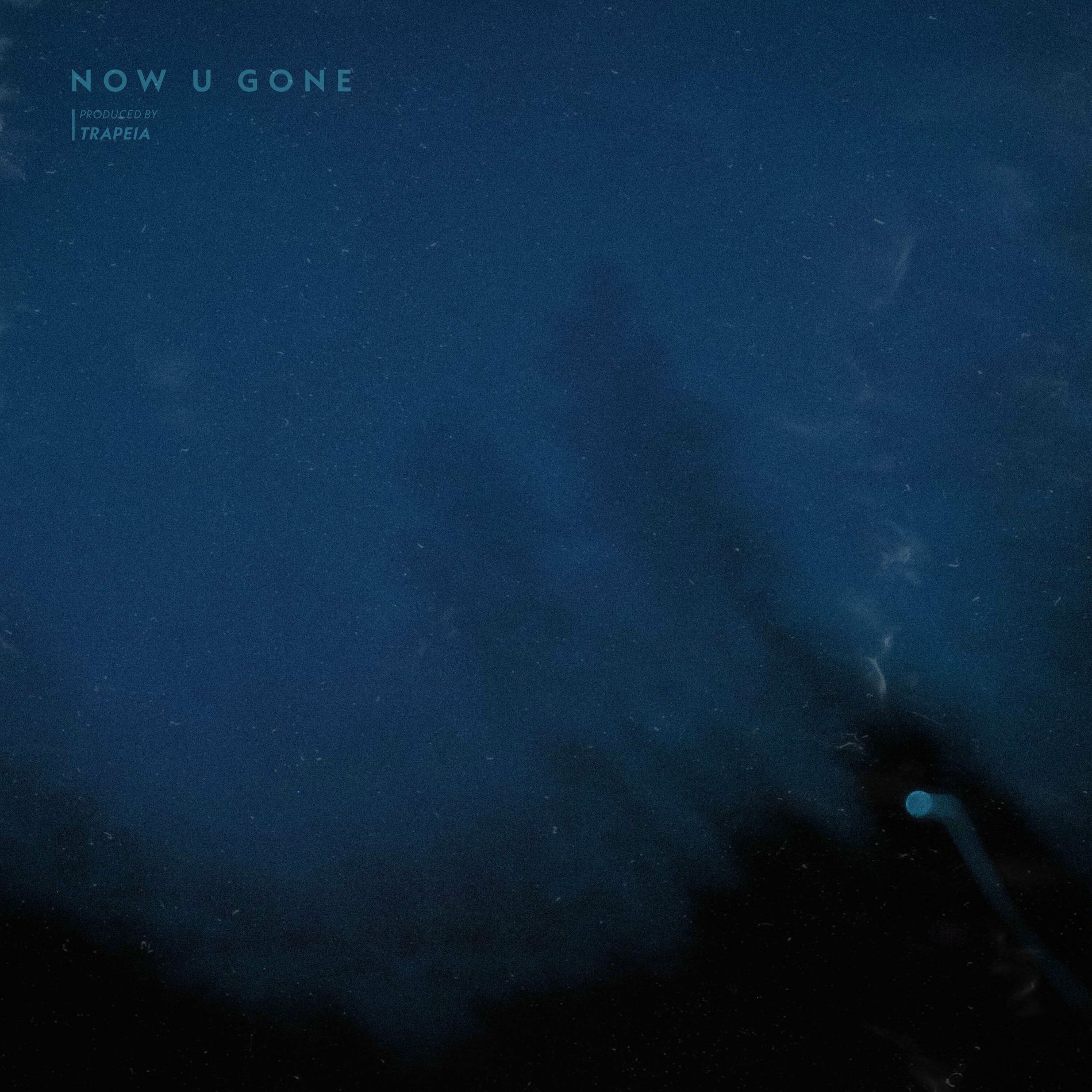 Album cover of now u gone EP