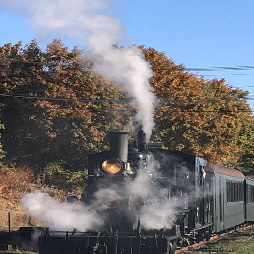 Train of Thought