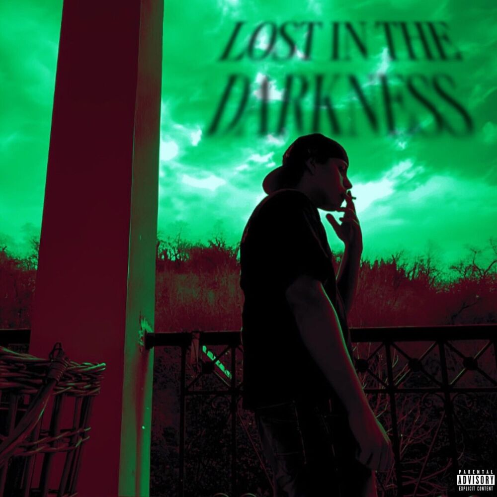 Picture of LOST IN THE DARKNESS