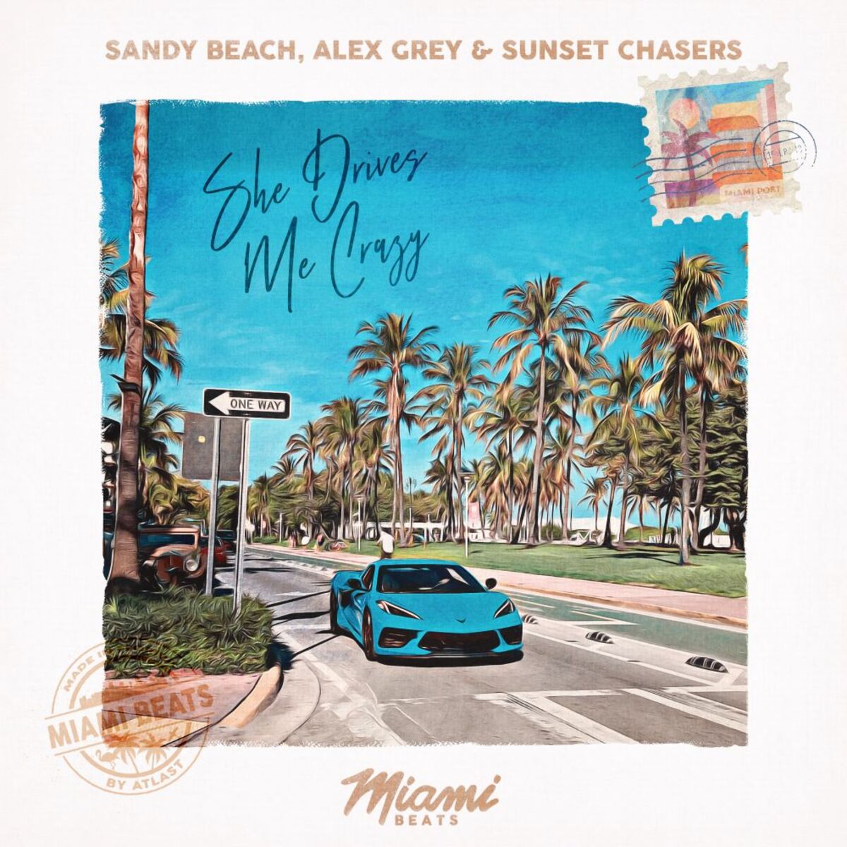 Album cover of She Drives Me Crazy