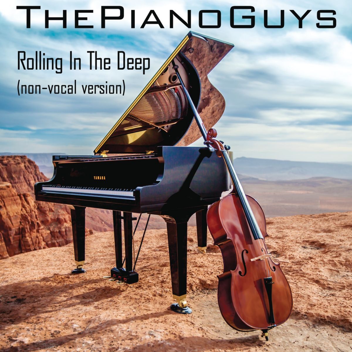 Album cover of Rolling in the Deep