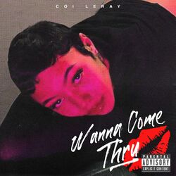 Cover of Wanna Come Thru