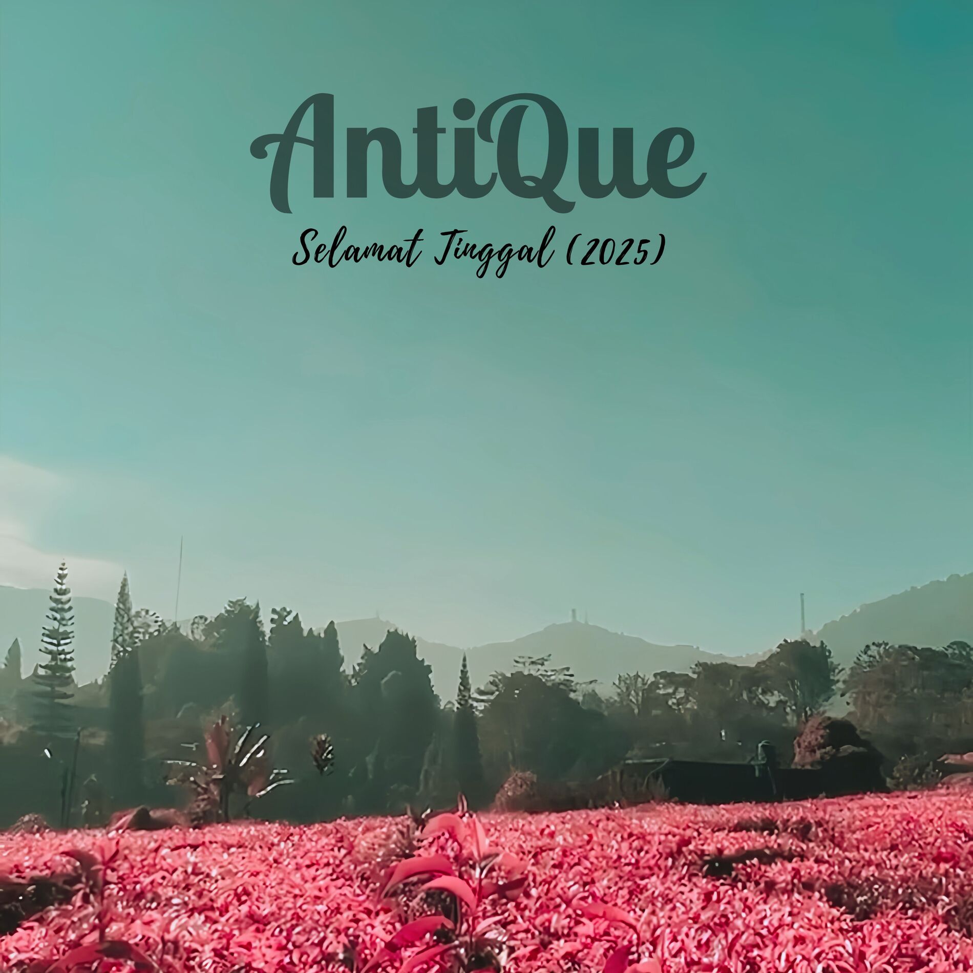 Album cover of Selamat Tinggal (2025)