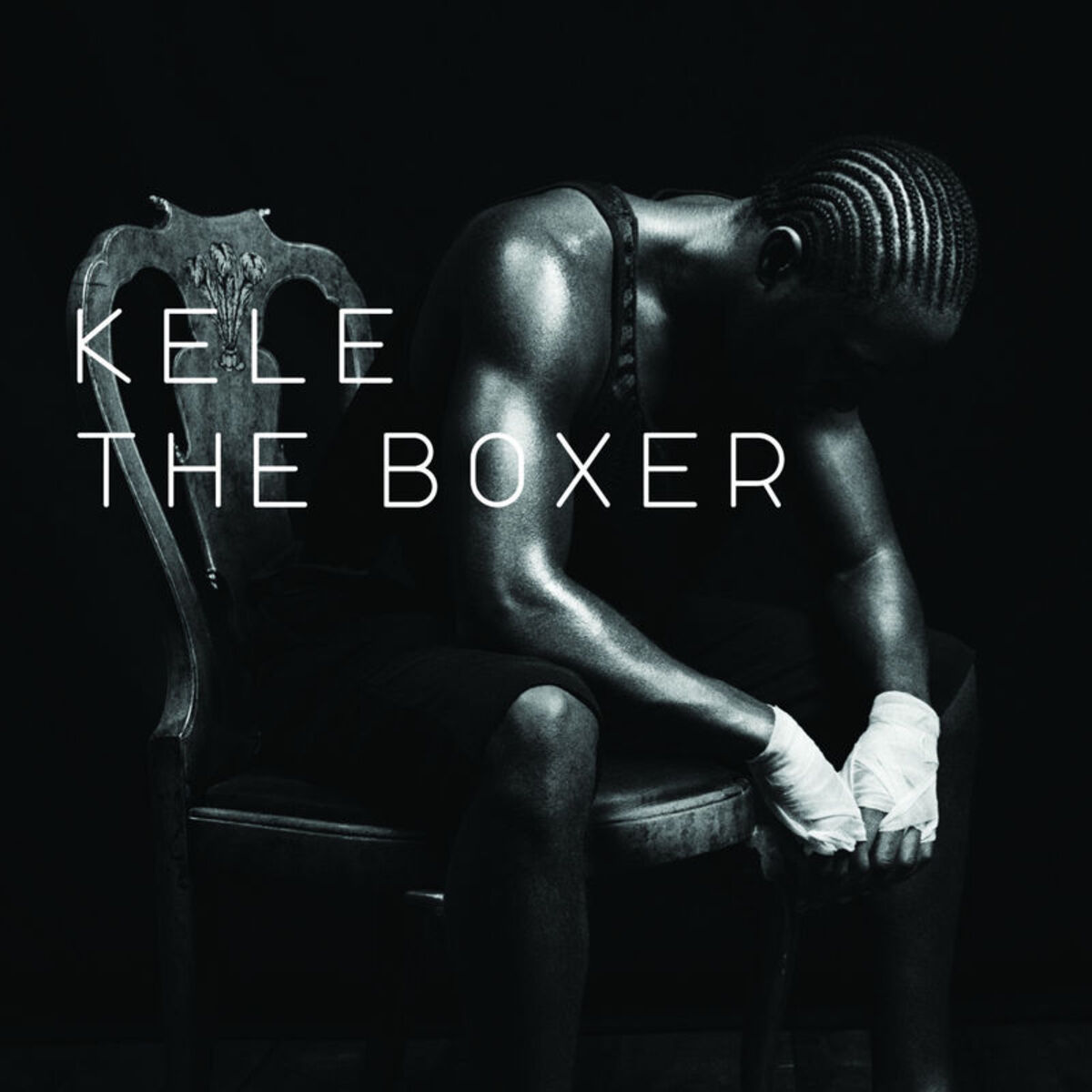 Album cover of The Boxer