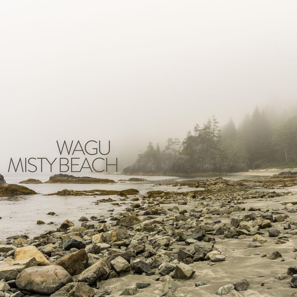 Picture of Misty Beach