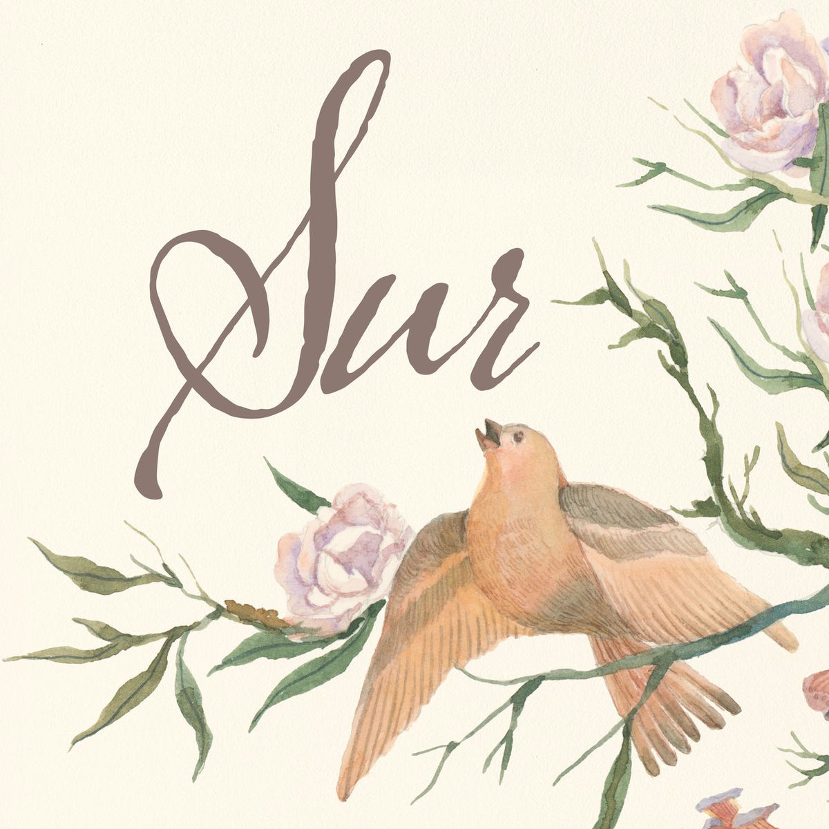 Album cover of Sur