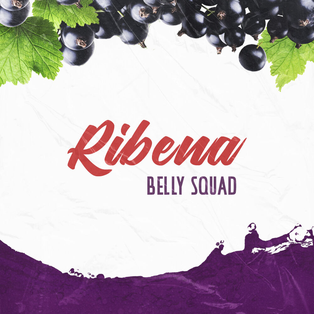 Picture of Ribena