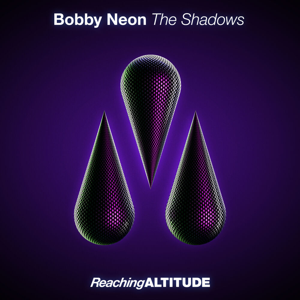 Picture of The Shadows
